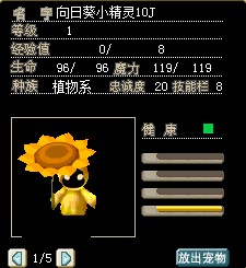 菊花招牌.jpg