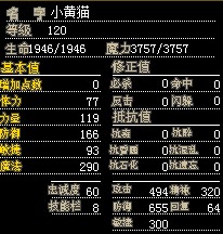 小黄猫-2.jpg