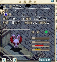 散步兔子.jpg