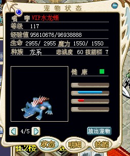 水龙.jpg