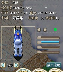 白龙马