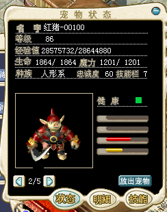 猪1.jpg