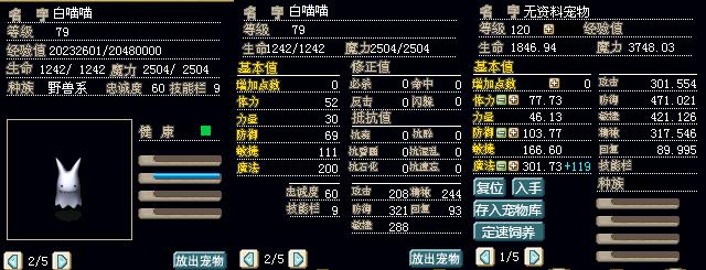 白喵喵.JPG