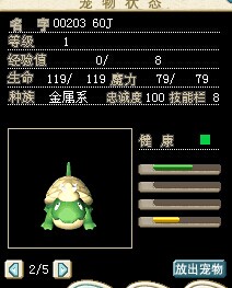 绿龟.jpg