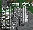 满档水龙.jpg
