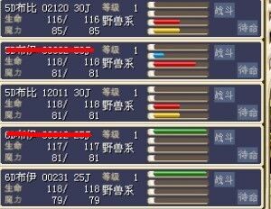 猪猪.jpg