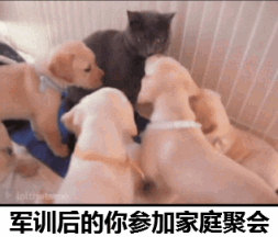 8.gif
