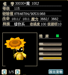 向日葵1.jpg
