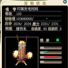 火舞.jpg