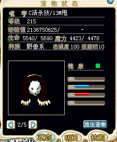 猫熊
