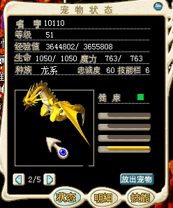 风龙
