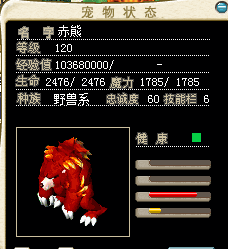 红熊1.png