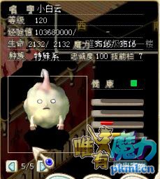 正面血魔