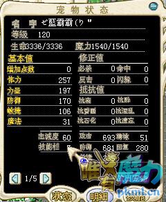 1档1防一队300金不单卖