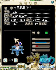 1档1防一队300金不单卖