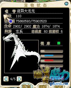 野生02000+血翼龙