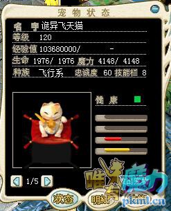 00110+魔飞天猫