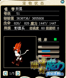 猫1.png