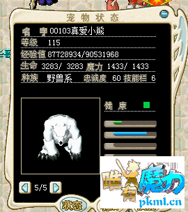 真爱小熊.png