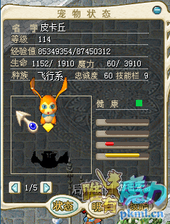 皮卡丘1.png