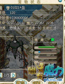 阴影1.png