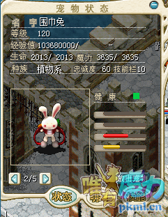围巾兔1.png