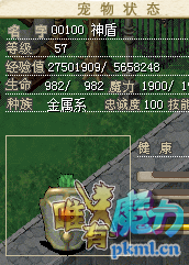神盾.png