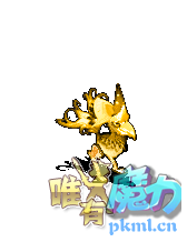 刀锋阿姆鸟