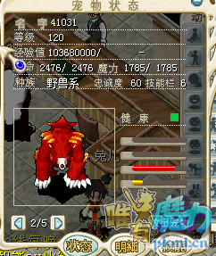 红熊.png