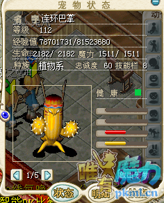 仙人掌 (2).png