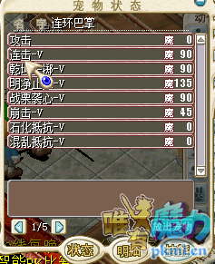 仙人掌.png