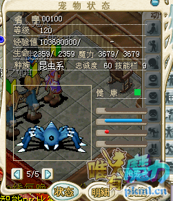 水蜘蛛.png