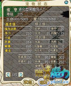 C鸟2.jpg
