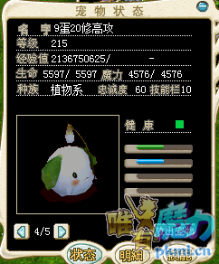 萌粽子