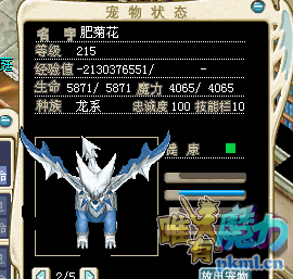 冰龙