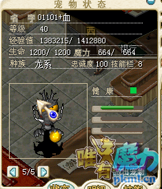海马.png