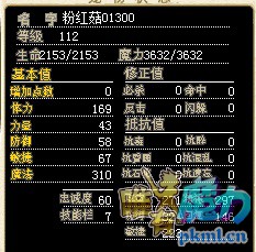 蘑菇