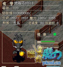 地海马.png