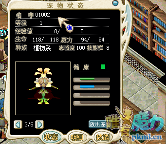 翠菊花仙