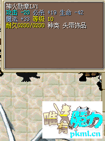 300金