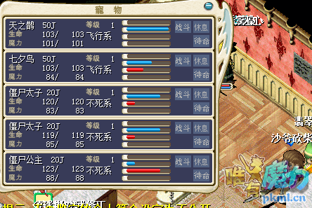 一队招牌.png