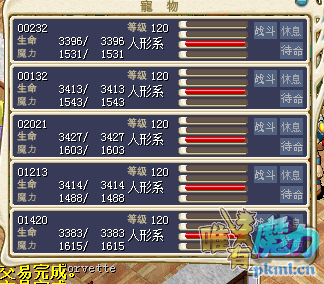 300金一队满树海