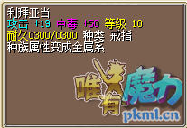 利拜亚当.png
