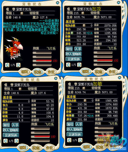 鸟.png