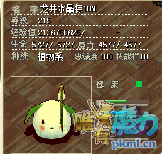 QQ图片20200226022906.png