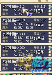 5只成品刺猬