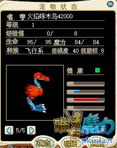 招牌5J一只