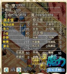 03001白车-1.jpg