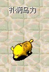 211.jpg