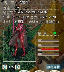 布依伦斯1.jpg